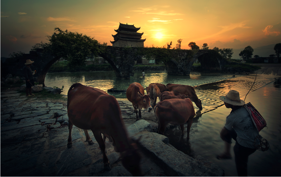 20《夕阳伴牛归》刘奕 13607398801.png