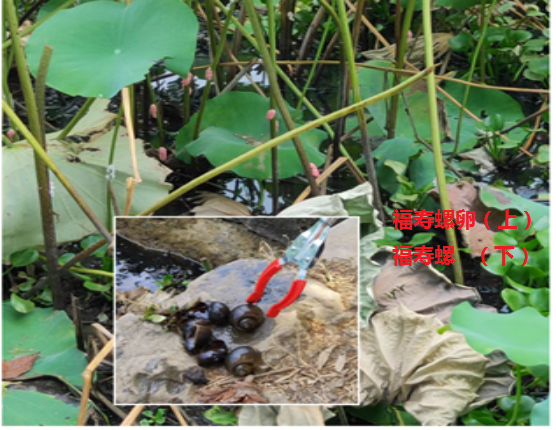 1662448949041029932.png 1662448949041029932.png