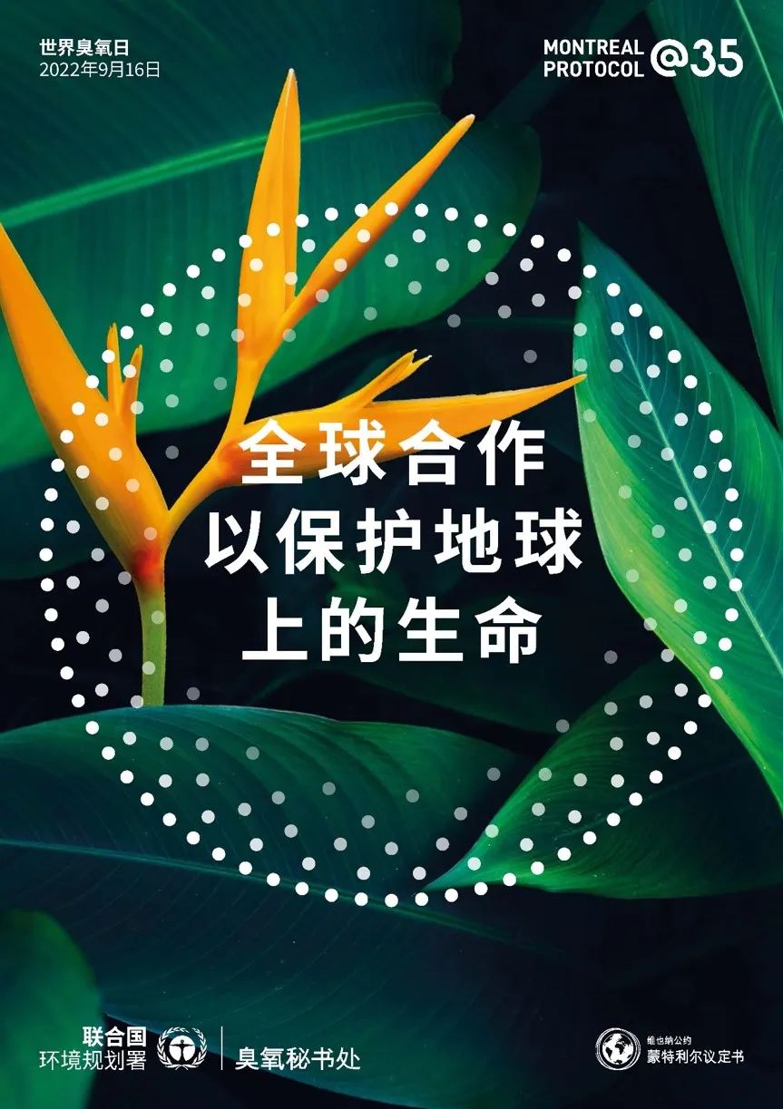 1663327674976056236.jpg 1663327674976056236.jpg