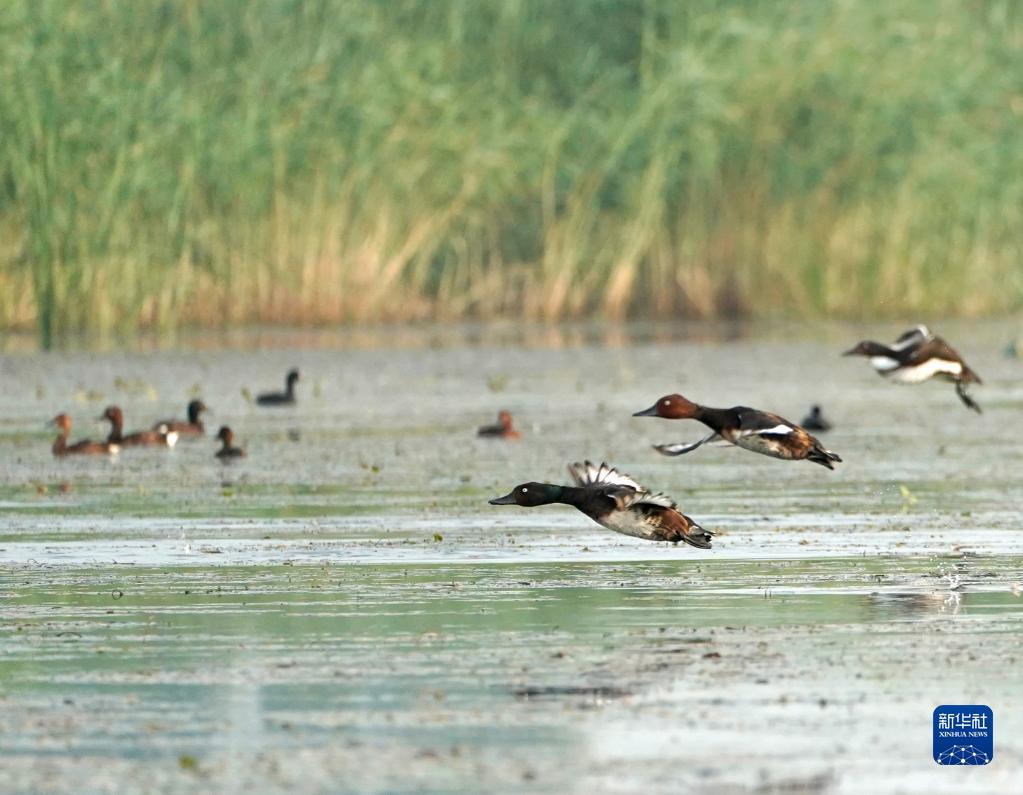 1664245848949044559.jpg 1664245848949044559.jpg