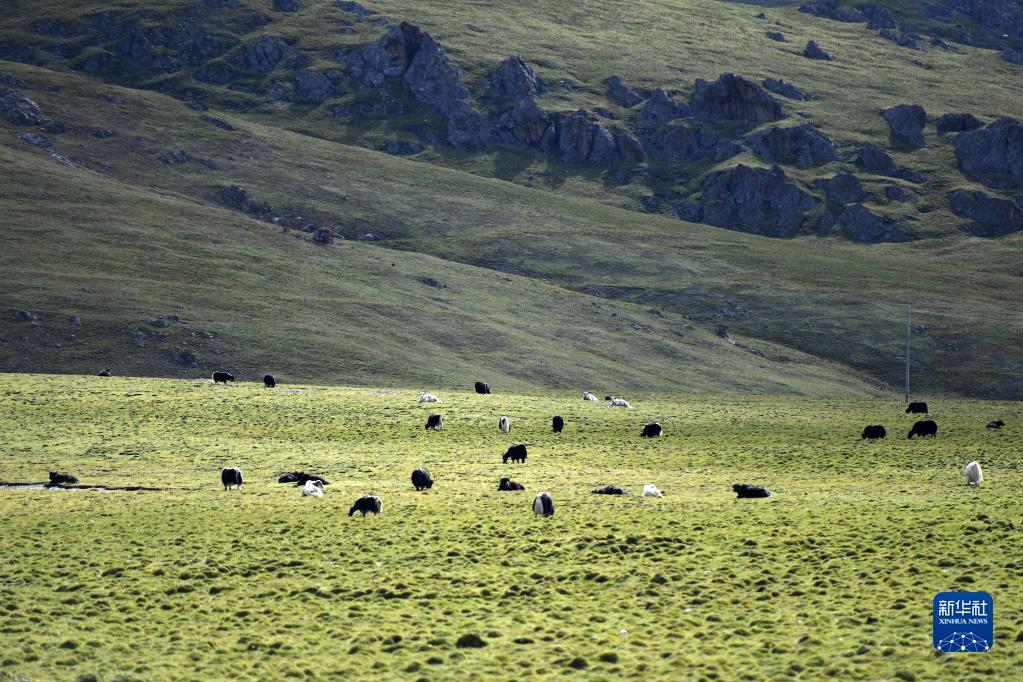 1664246034031029956.jpg 1664246034031029956.jpg