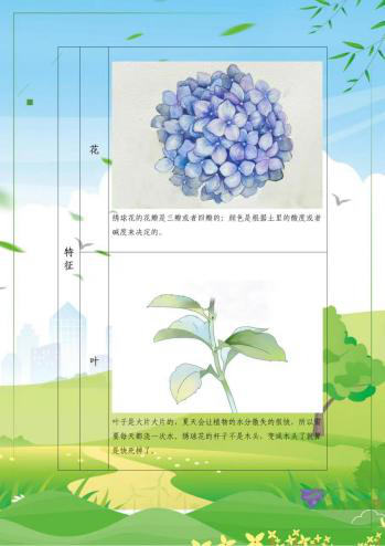 1664329466104036044.png 1664329466104036044.png