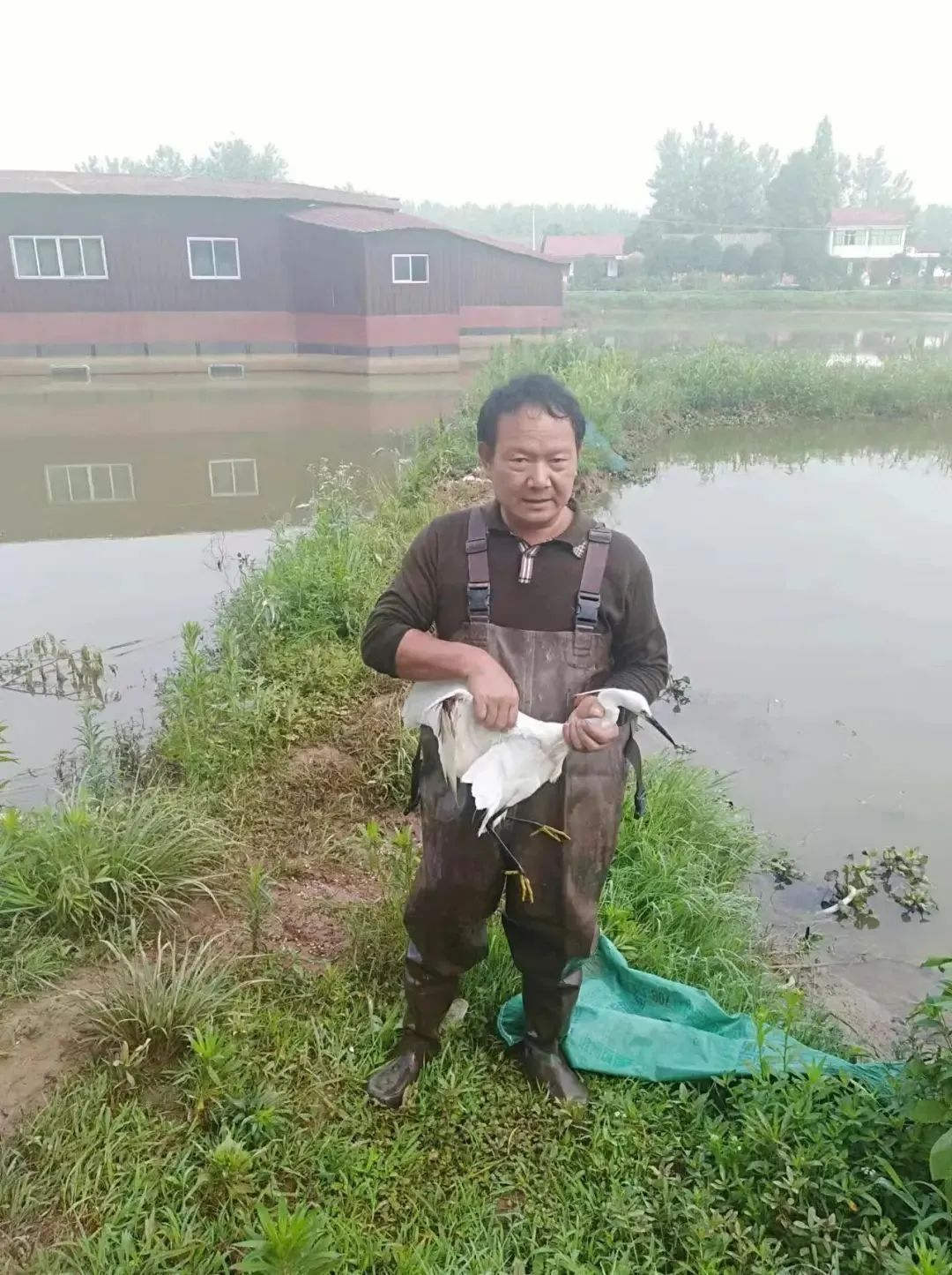 1668390954638025204.png 图片16.png