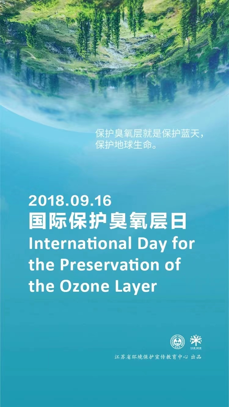 1668999638438031454.jpg 11.jpg