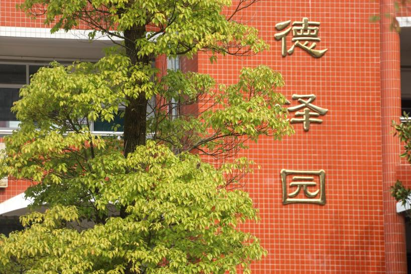 图片10.png