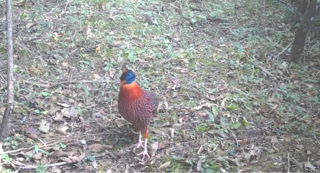 1680764059074076887.jpg 1680764059074076887.jpg