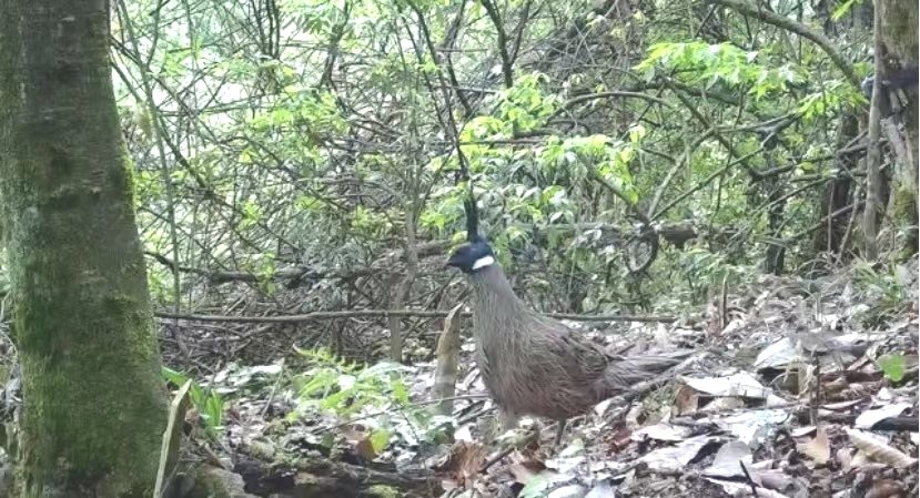 1680764082544089936.jpg 1680764082544089936.jpg