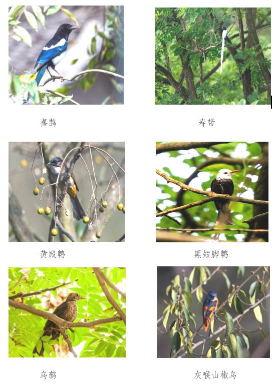 1680764161027053757.jpg 4.6八大山5.jpg