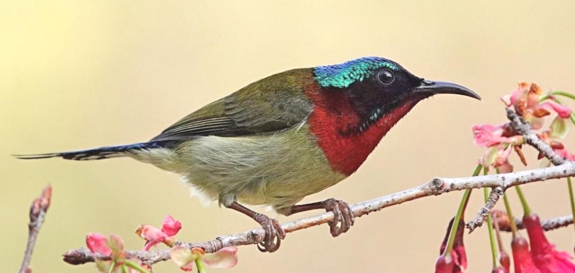 1680764171711072291.jpg 1680764171711072291.jpg