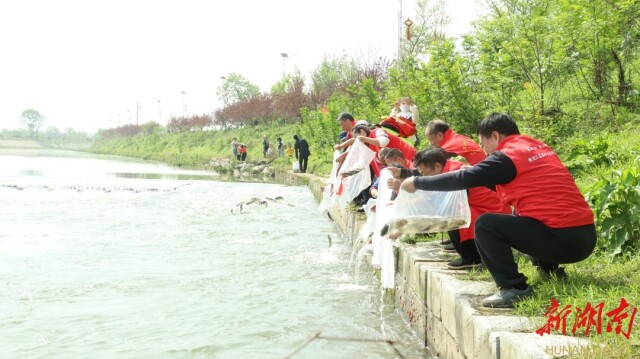 桃江:近5000人毅行为环保呐喊