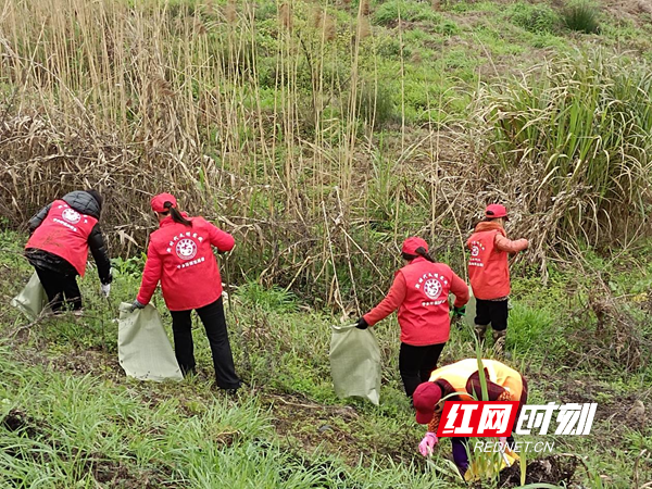 图片8.png 图片8.png