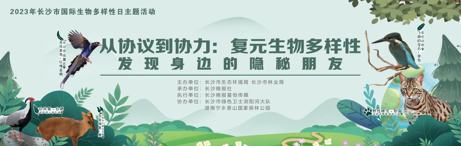 1684891910171019931.jpg 1684891910171019931.jpg