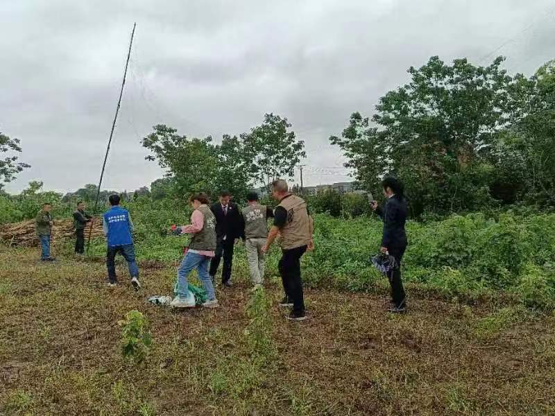 1684892013496008953.jpg 1684892013496008953.jpg