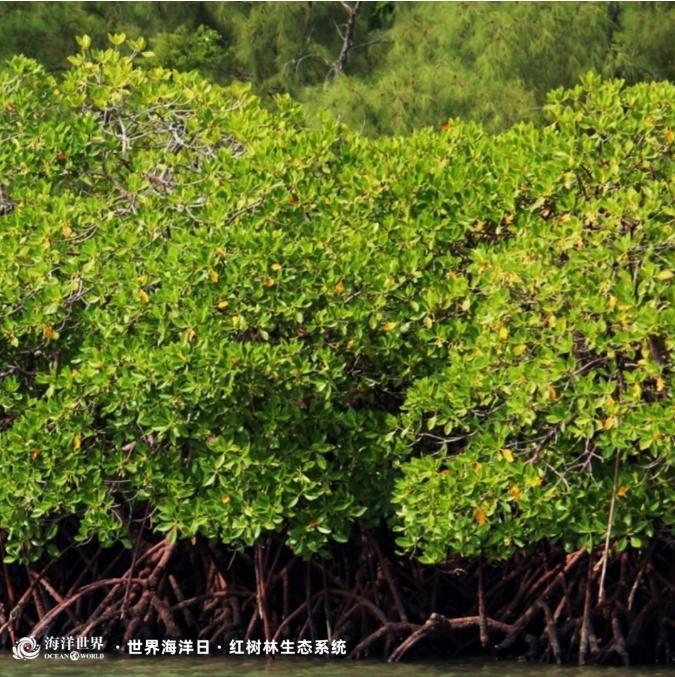 1686706347981019505.jpg 1686706347981019505.jpg