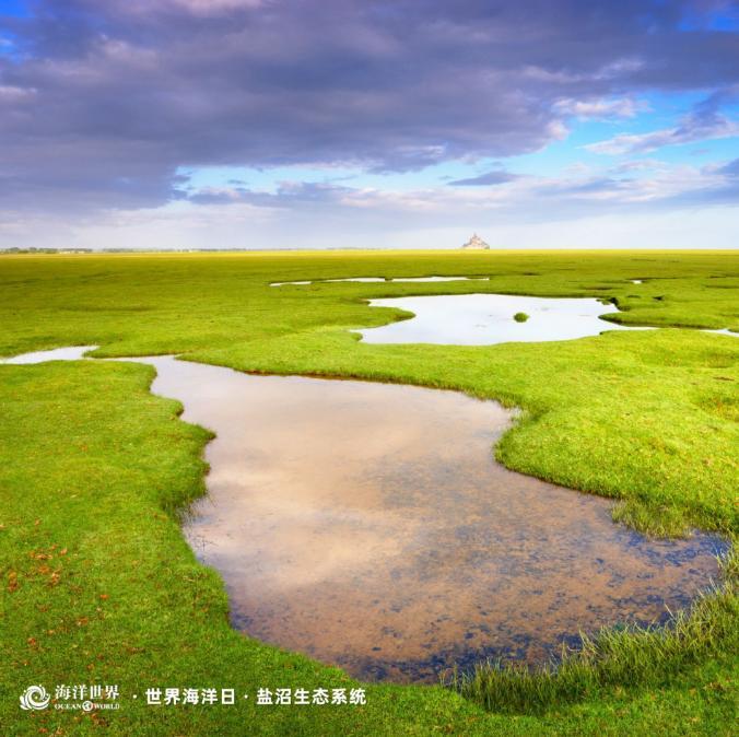 1686706639841090544.jpg 1686706639841090544.jpg