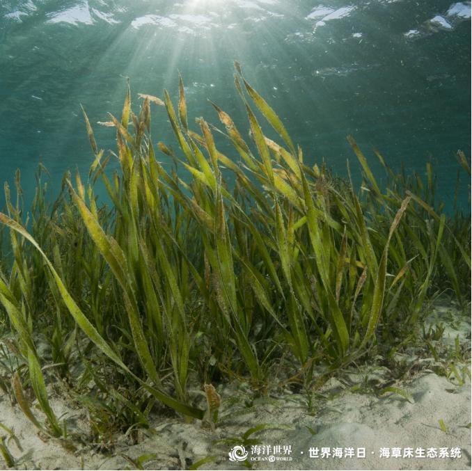 1686706690079072350.jpg 1686706690079072350.jpg