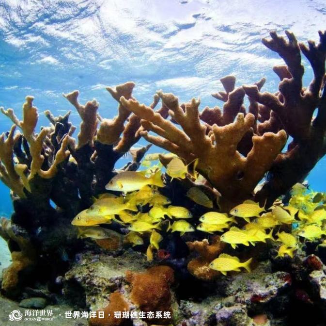 1686706758532045450.jpg 1686706758532045450.jpg