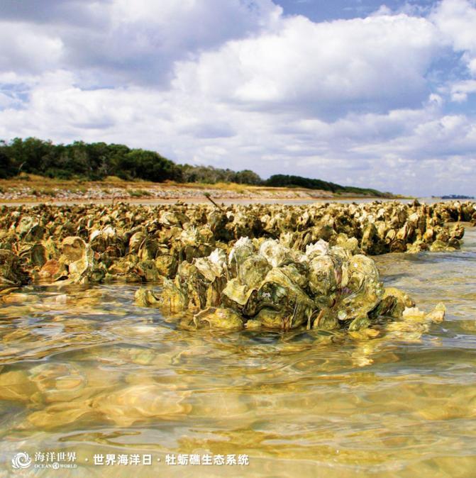 1686706789205074803.jpg 1686706789205074803.jpg