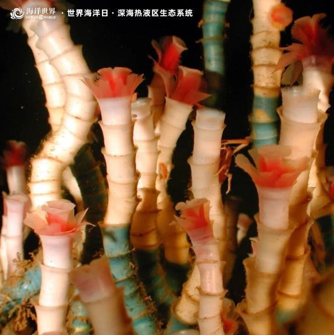 1686706811355011307.jpg 1686706811355011307.jpg