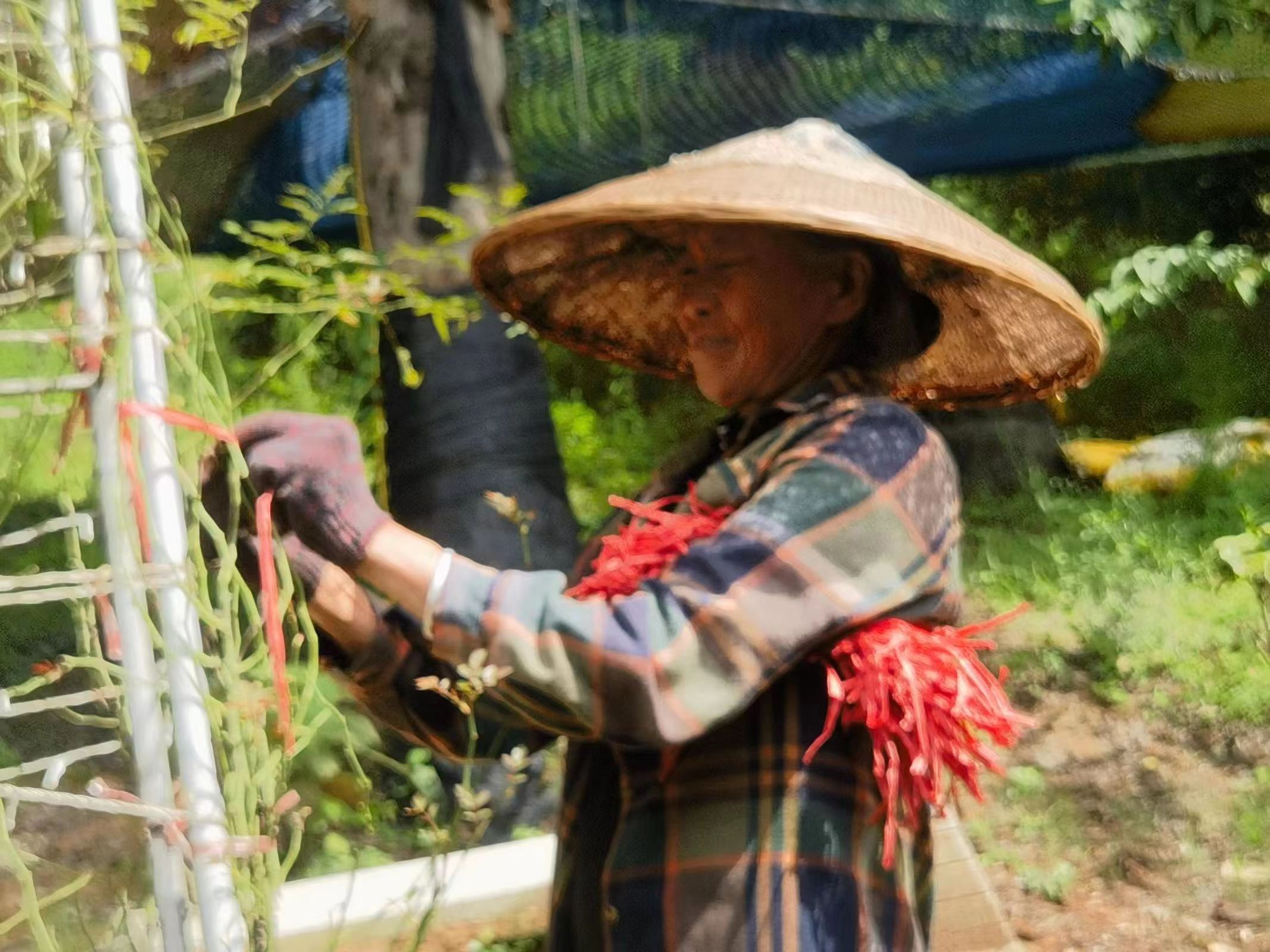 1690161390101063227.jpg 1690161390101063227.jpg