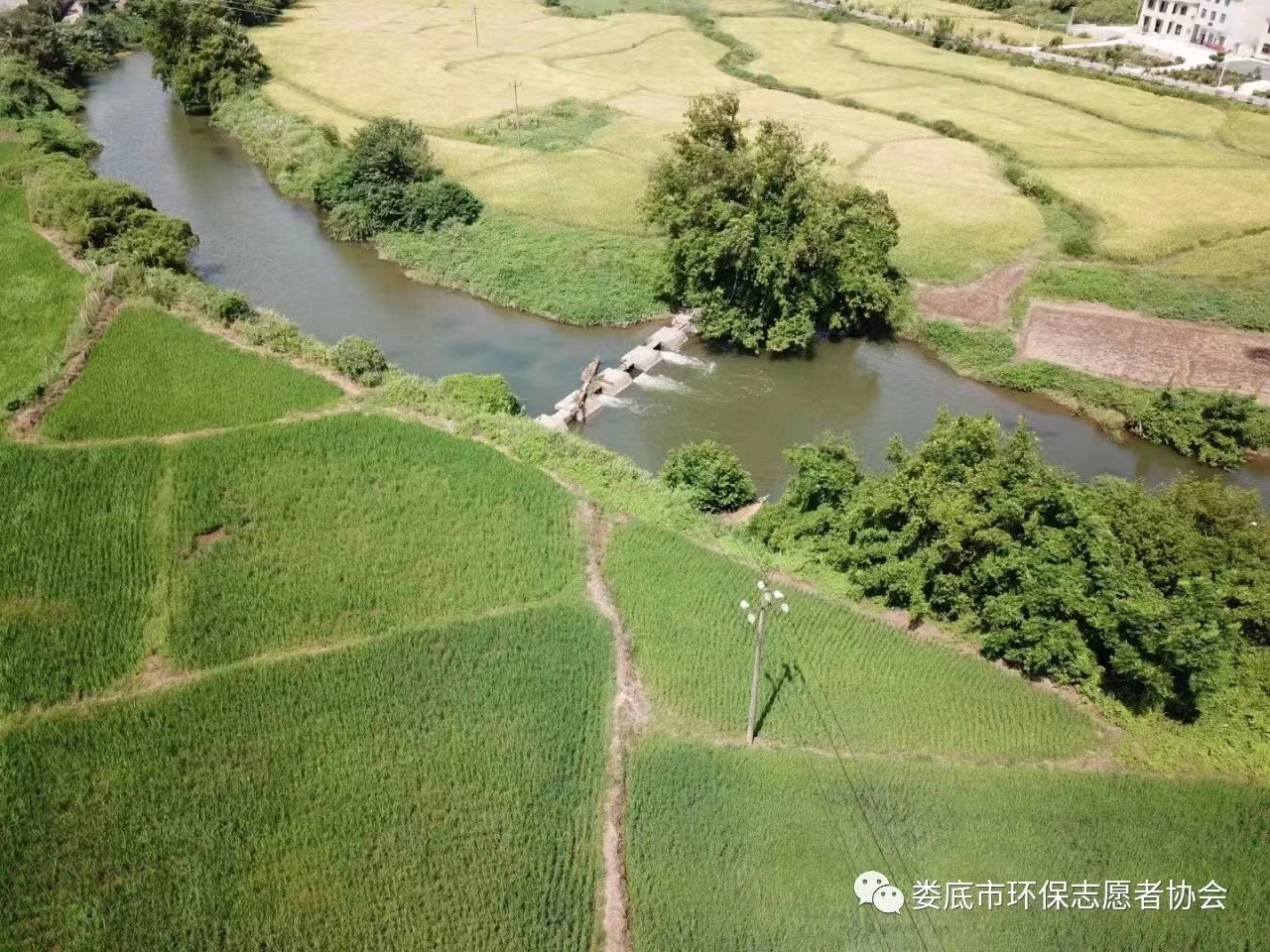 1693469183321035167.jpg 1693469183321035167.jpg