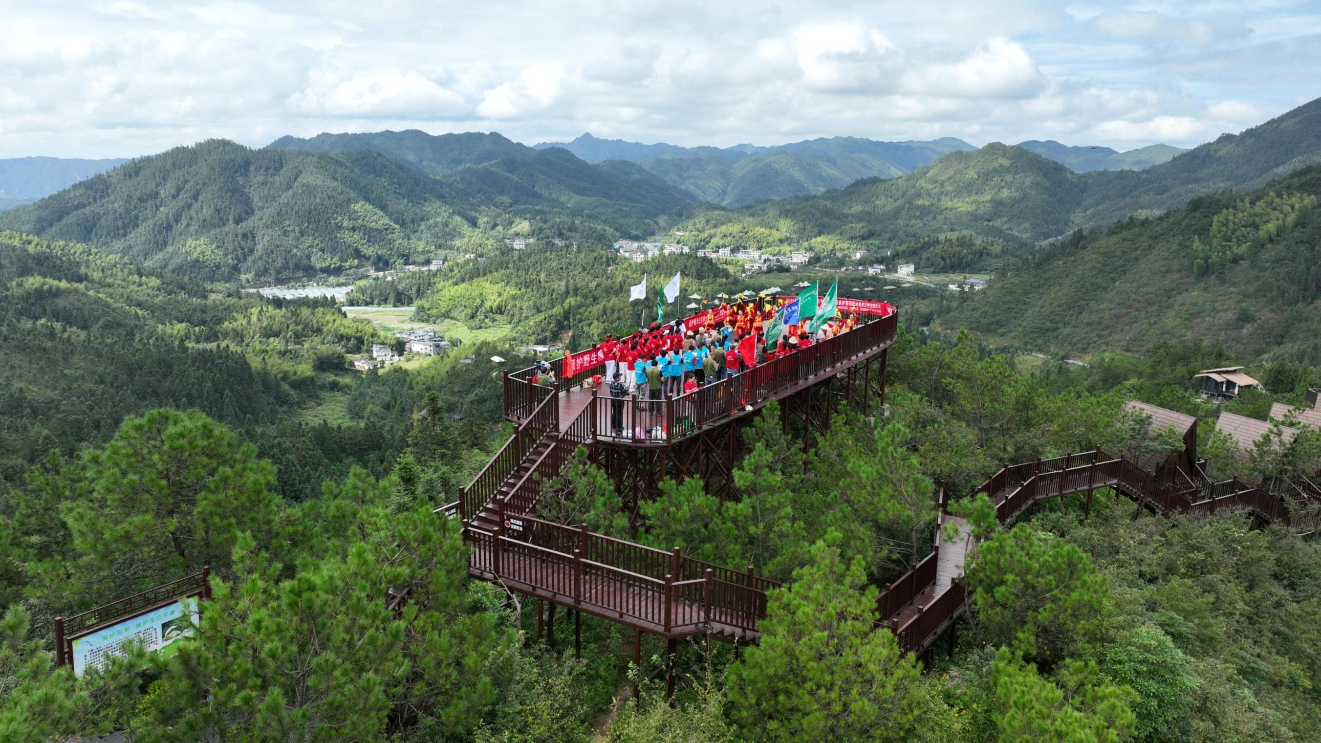 1694418700963041620.jpg 1694418700963041620.jpg