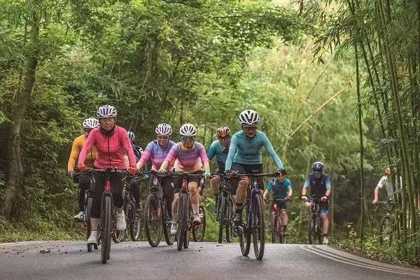 1694487433674081009.jpg 1694487433674081009.jpg