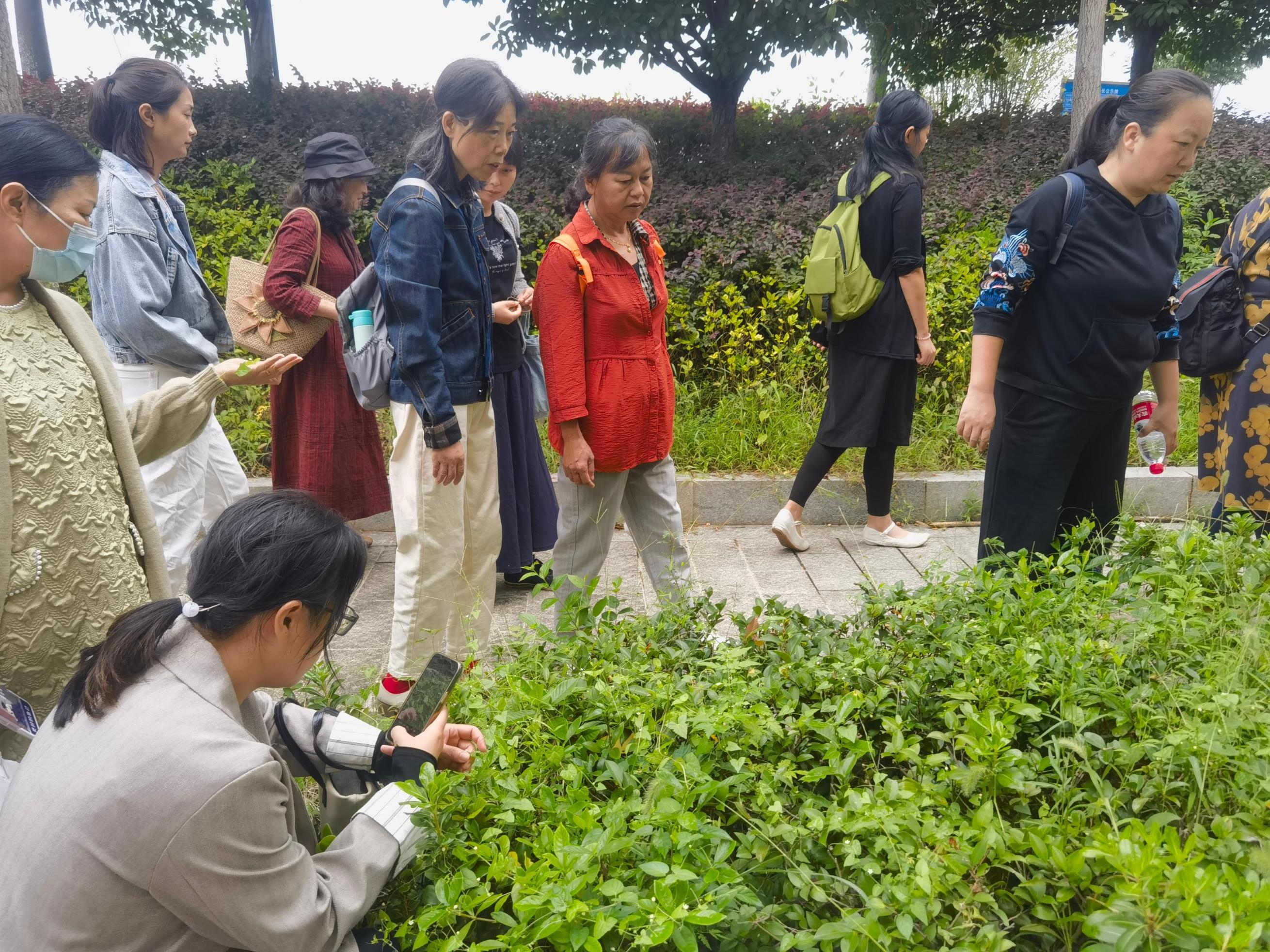 1695721899635017642.jpg 1695721899635017642.jpg