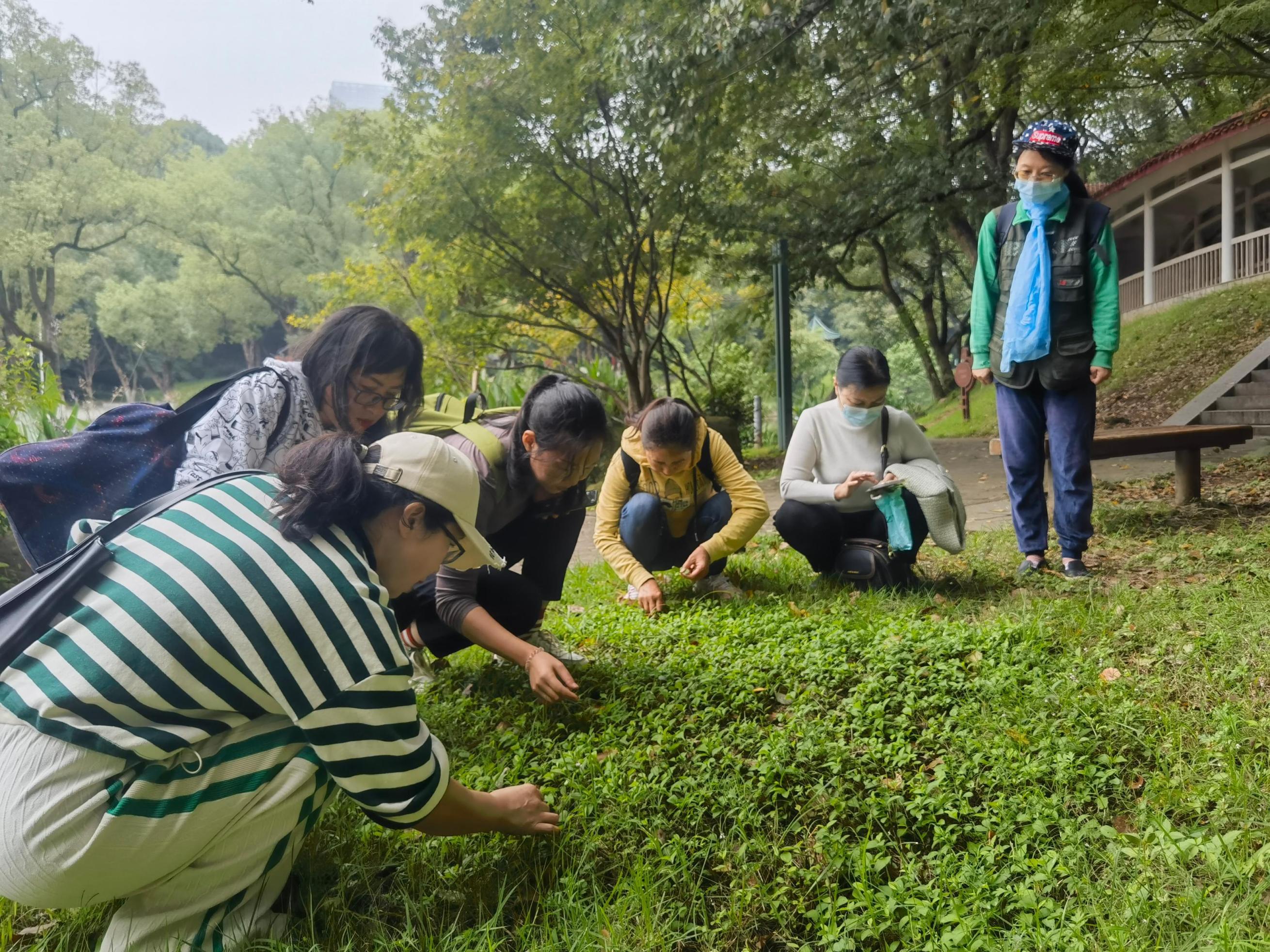 1696929035972039237.jpg 1696929035972039237.jpg