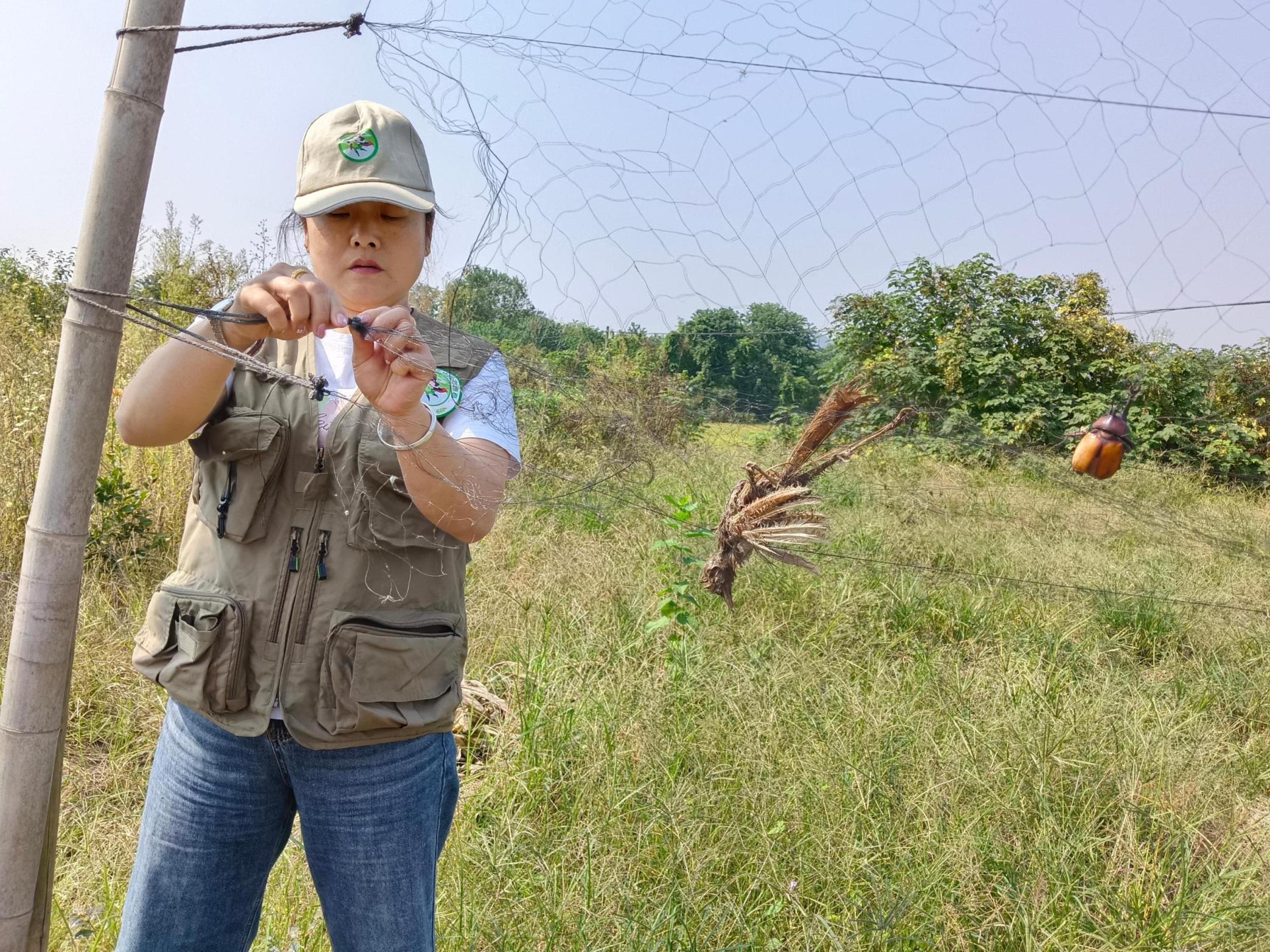 1697427356589091804.jpg 1697427356589091804.jpg