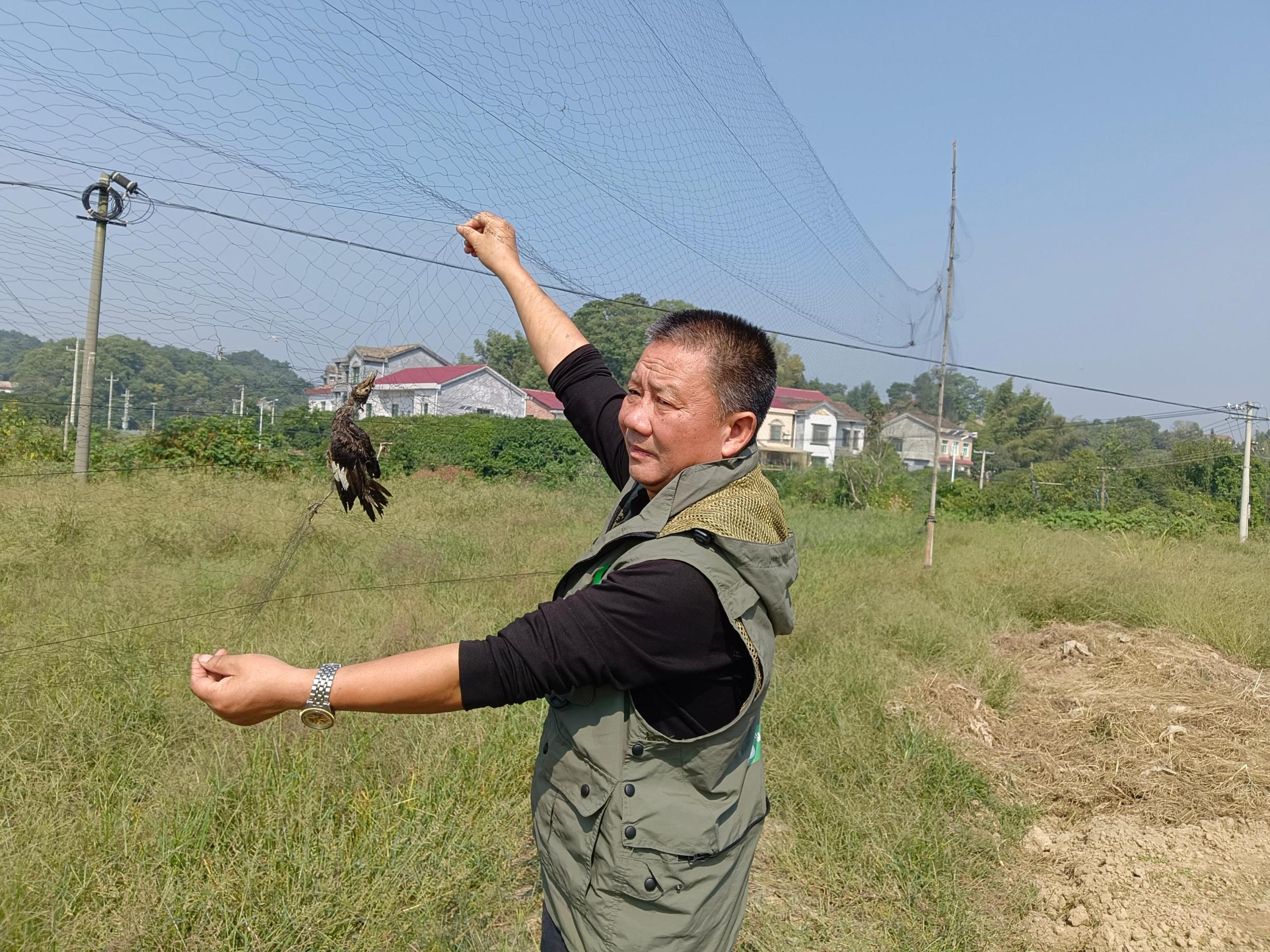 1697427418539038817.jpg 1697427418539038817.jpg