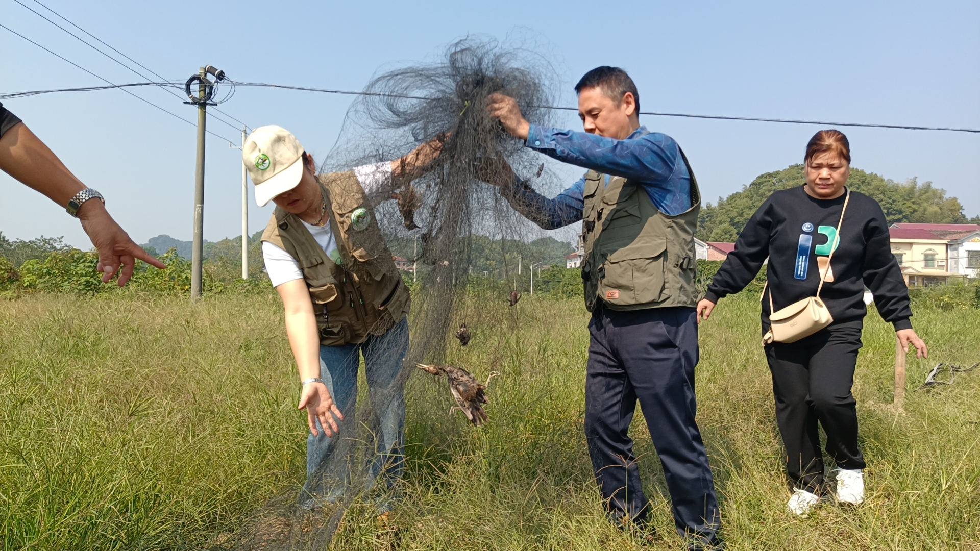 1697427530091039738.jpg 1697427530091039738.jpg