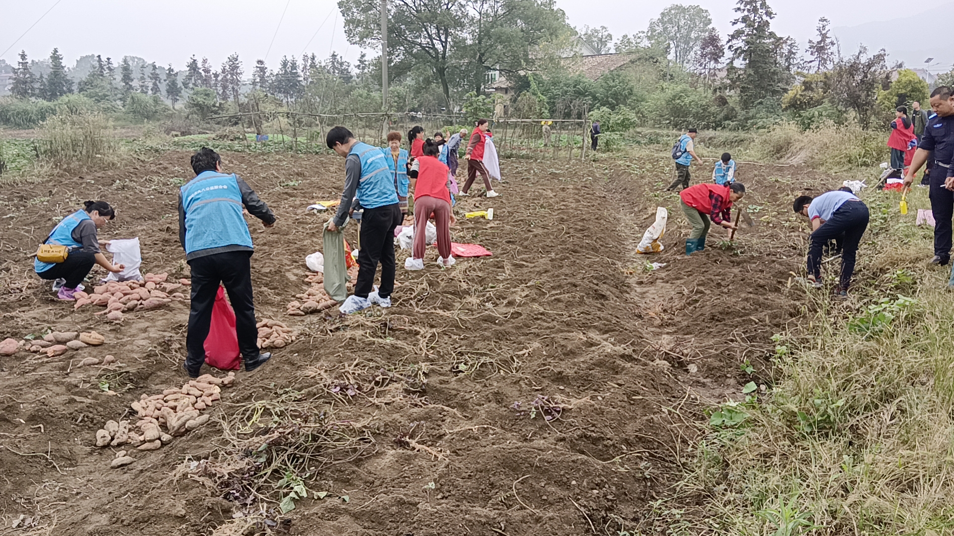 1698637942222091337.jpg 1698637942222091337.jpg