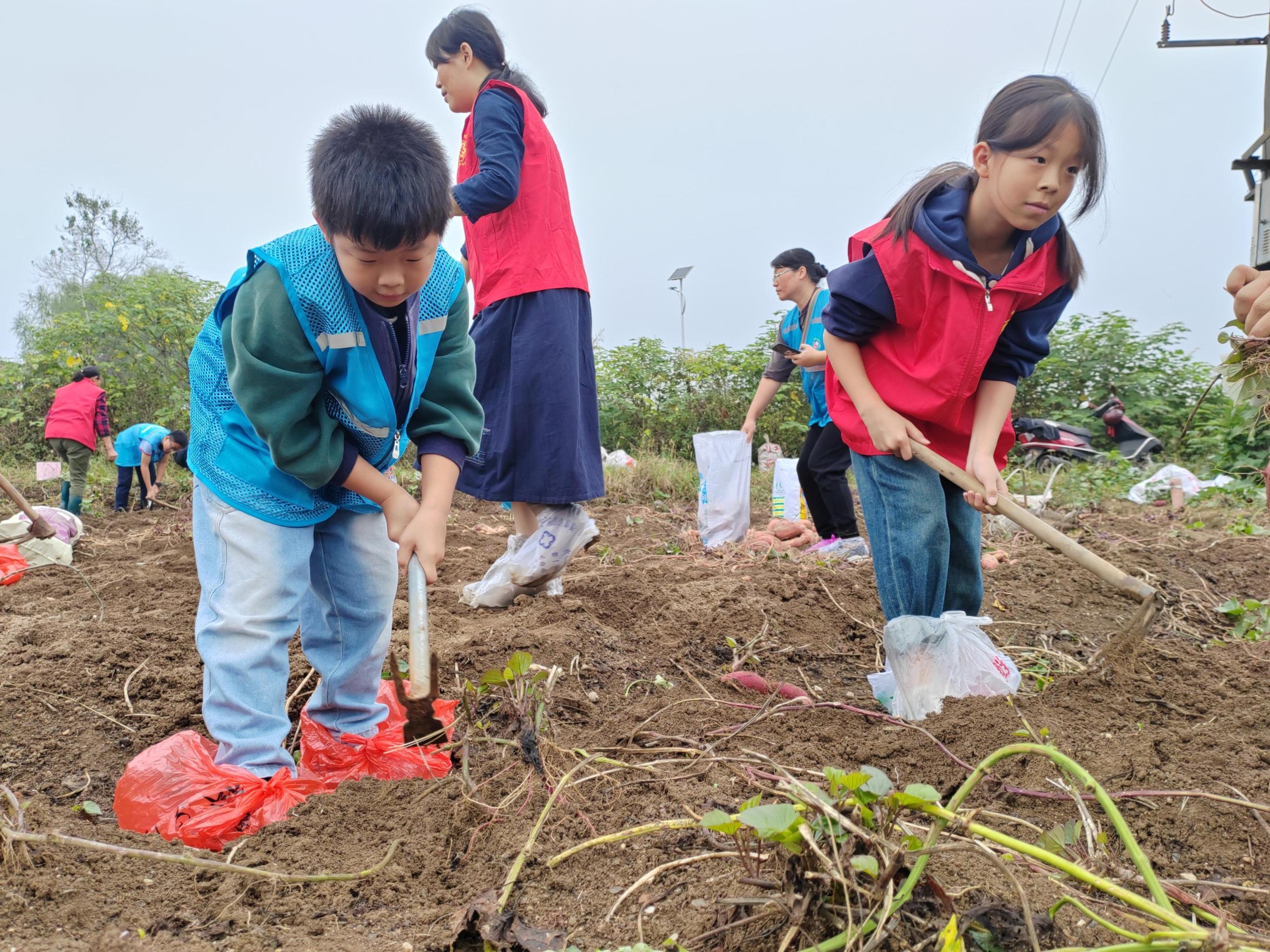 1698637965774045986.jpg 1698637965774045986.jpg