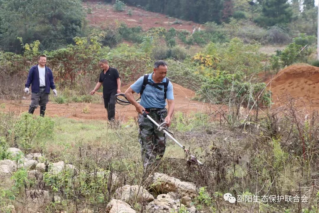 1698649490560008352.jpg 1698649490560008352.jpg