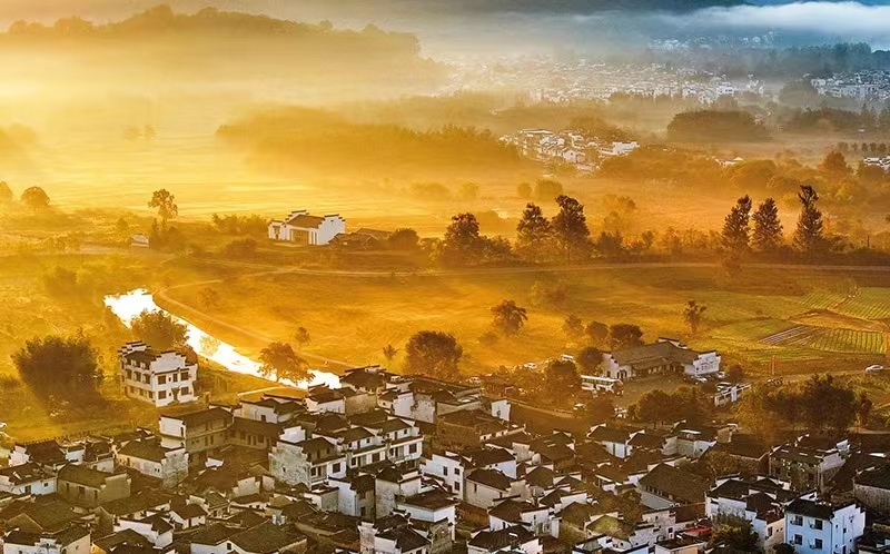 1700705978405056044.jpg 1700705978405056044.jpg