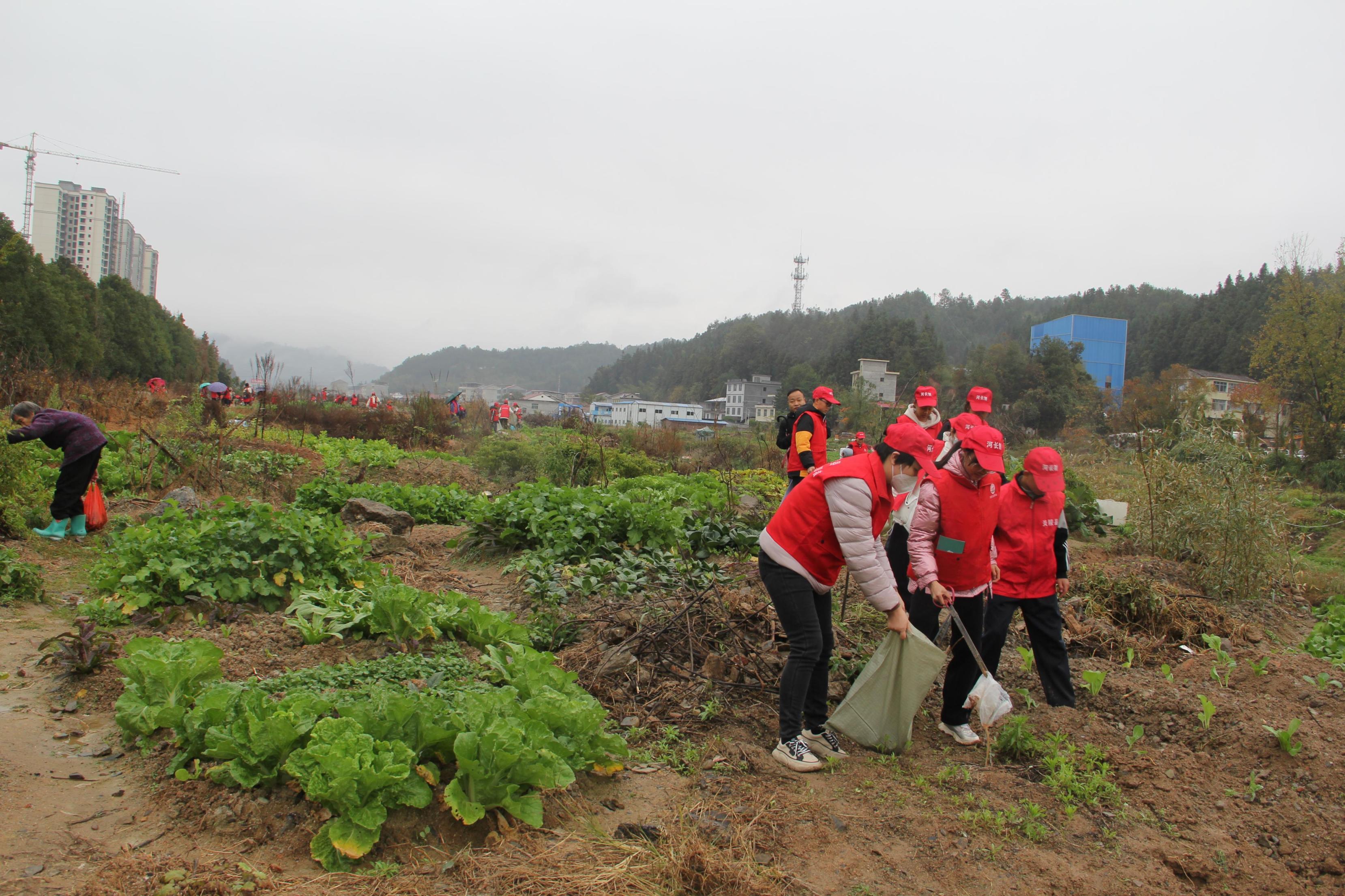 1701654521294061399.jpg 1701654521294061399.jpg