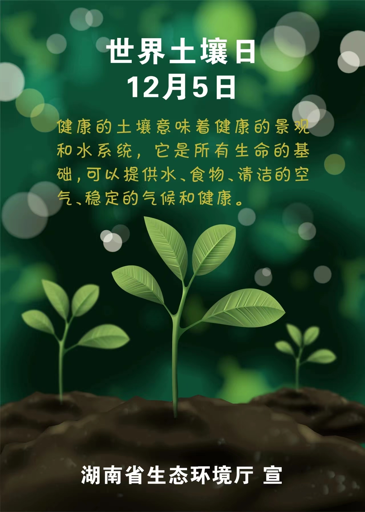 1701769523935027950.jpg 1701769523935027950.jpg