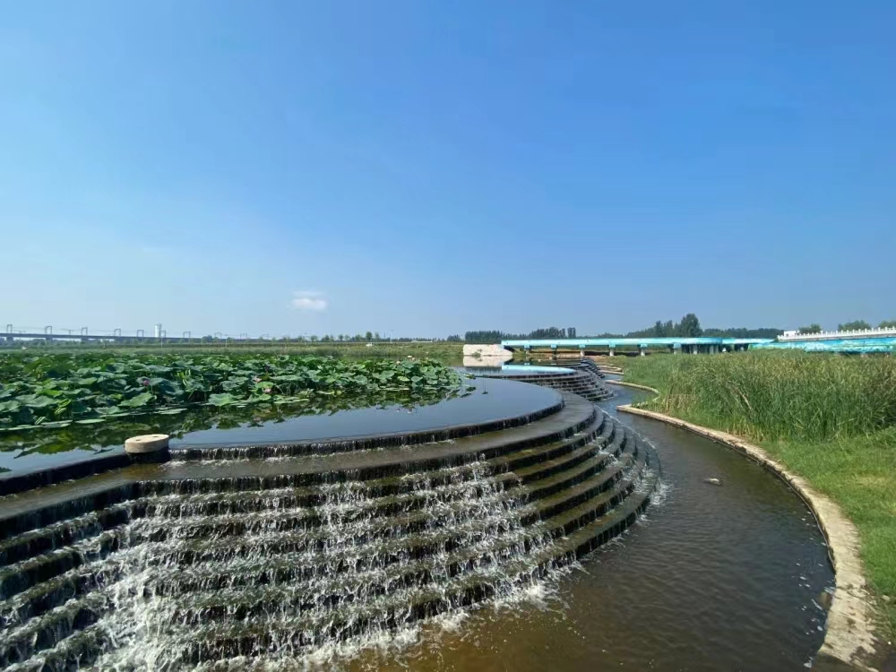 1703574565961083950.jpg 1703574565961083950.jpg