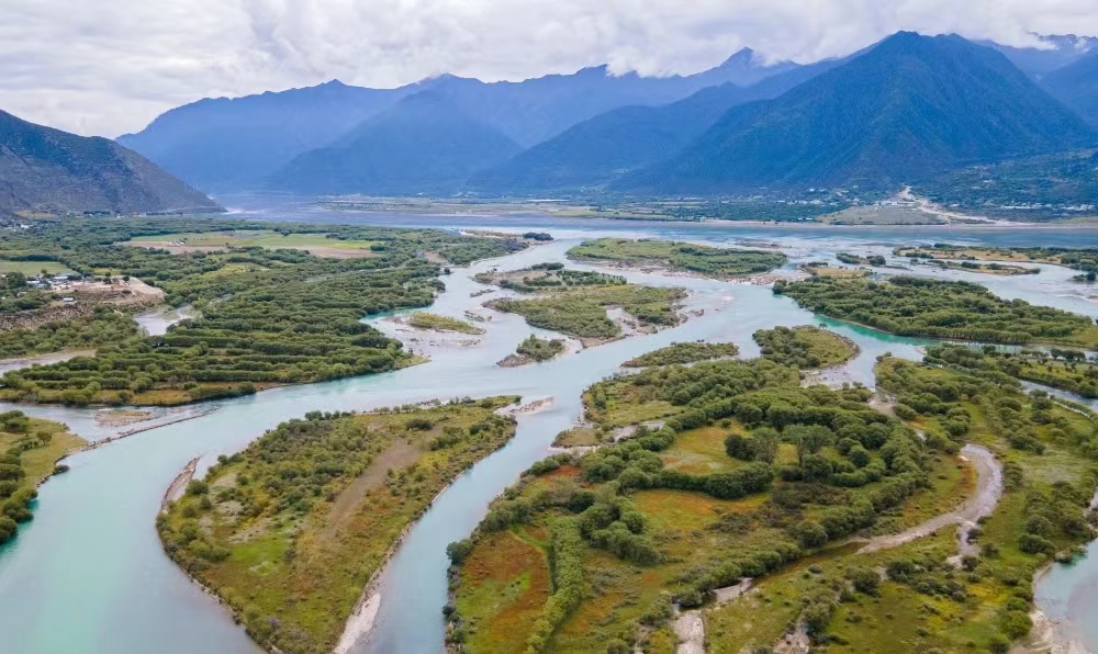 1703574655606008178.jpg 1703574655606008178.jpg