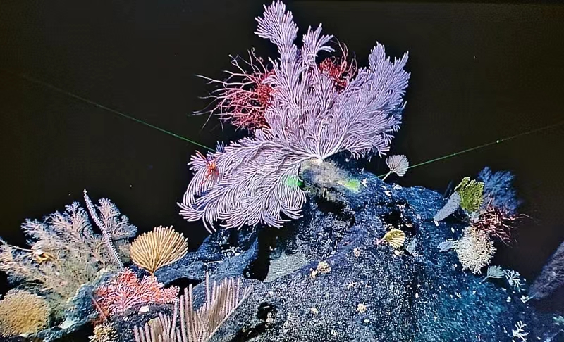 1709195833670034855.jpg 1709195833670034855.jpg