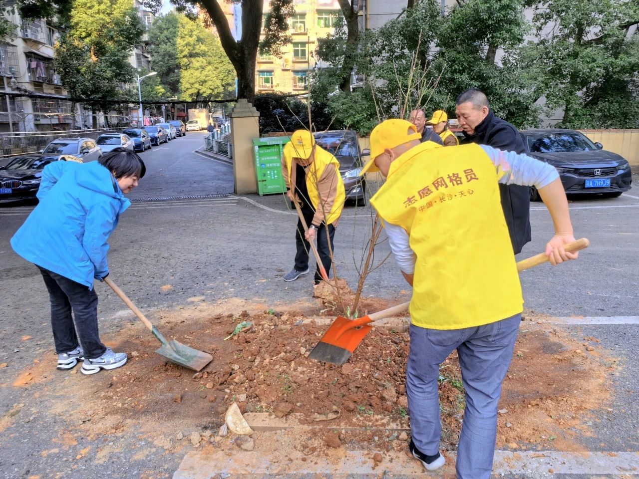 1710840417267073399.jpg 49e723348c86d5cacf55a2b73ba49584.jpg