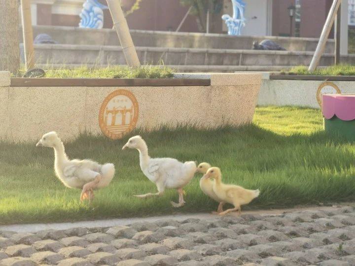 1710949967642004128.jpg