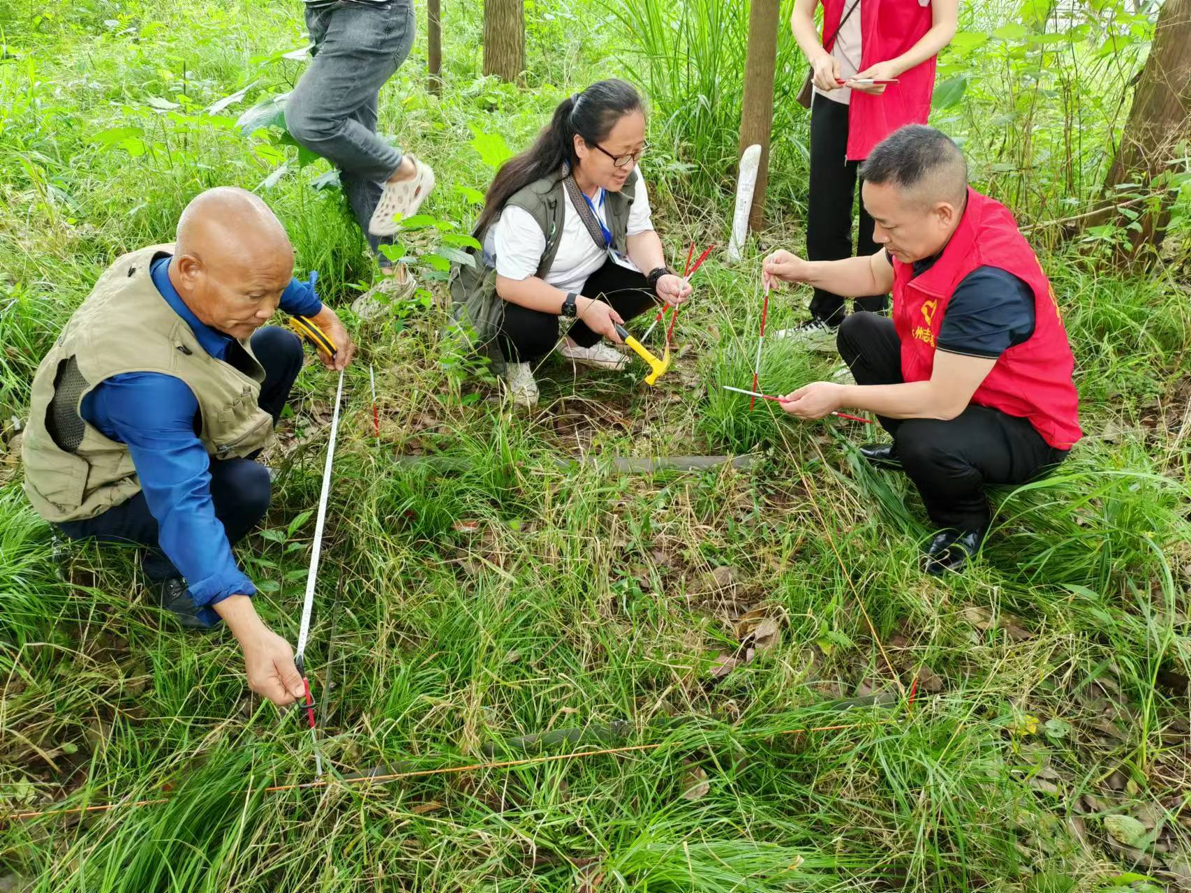 1716346965858020395.jpg 5.22零临大队4.jpg