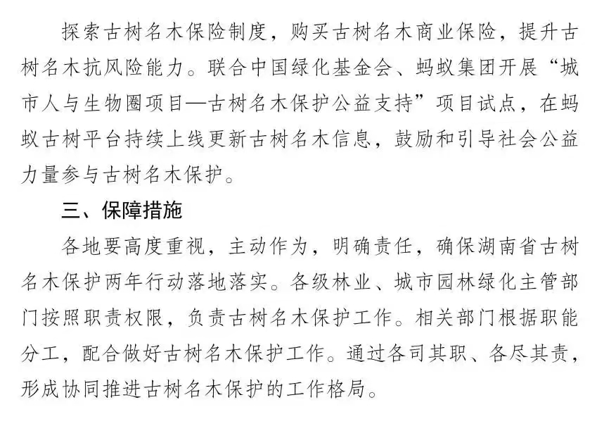 1716945476448068428.jpg 5.29古树6.jpg