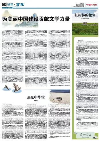 1718762979924044366.jpg 6.19生态文化.jpg