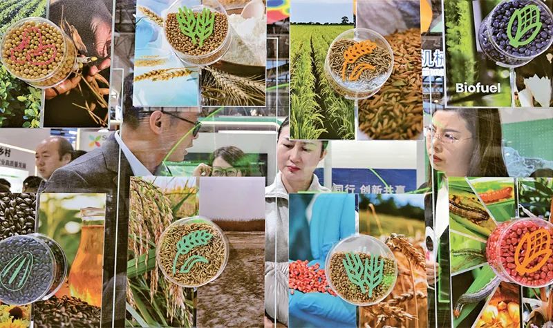 1719214165663020567.jpg 1719214165663020567.jpg