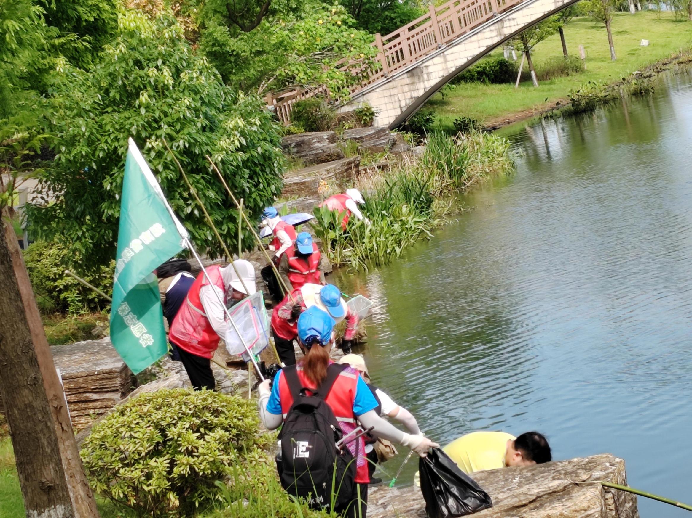 1720686852103017856.jpg 7.11株洲大队福寿螺12.jpg