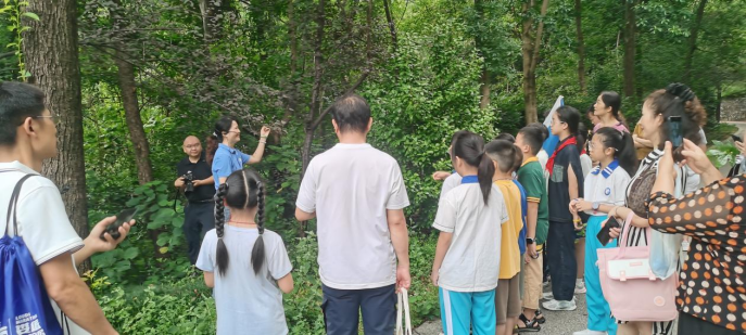 1723719795354008823.png 1723719795354008823.png