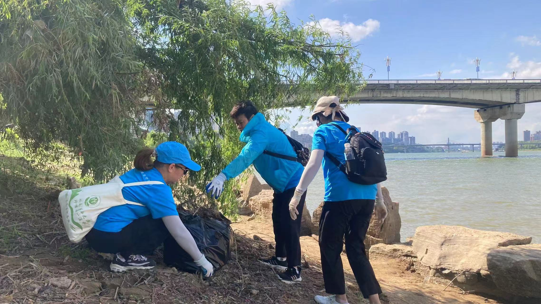 1724923833319092696.jpg 1724923833319092696.jpg